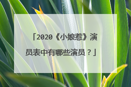 2020《小娘惹》演员表中有哪些演员?