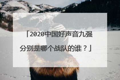 2020中国好声音九强分别是哪个战队的谁?