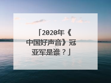 2020年《中国好声音》冠亚军是谁?