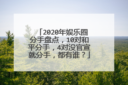 2020年娱乐圈分手盘点,10对和平分手,4对没官宣就分手,都有谁?