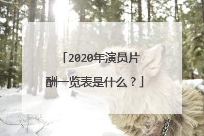 2020年演员片酬一览表是什么？