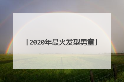2020年最火发型男童
