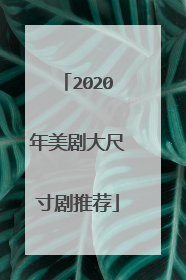 2020年美剧大尺寸剧推荐