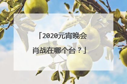 2020元宵晚会肖战在哪个台?