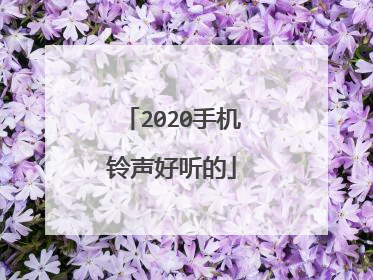 2020手机铃声好听的