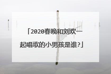 2020春晚和刘欢一起唱歌的小男孩是谁?