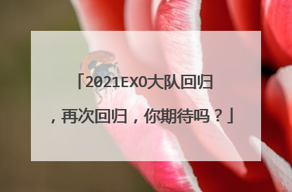 2021EXO大队回归，再次回归，你期待吗？