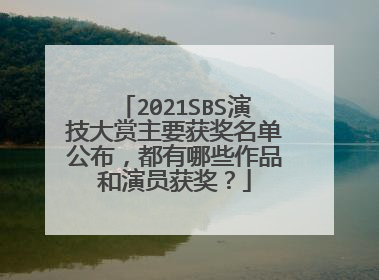 2021SBS演技大赏主要获奖名单公布,都有哪些作品和演员获奖?