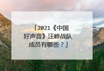 2021《中国好声音》汪峰战队成员有哪些？