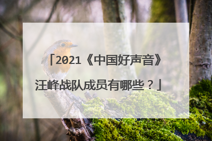 2021《中国好声音》汪峰战队成员有哪些？