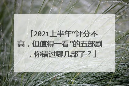 2021上半年“评分不高，但值得一看”的五部剧，你错过哪几部了？