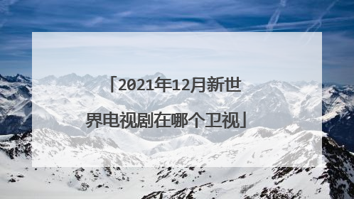 2021年12月新世界电视剧在哪个卫视