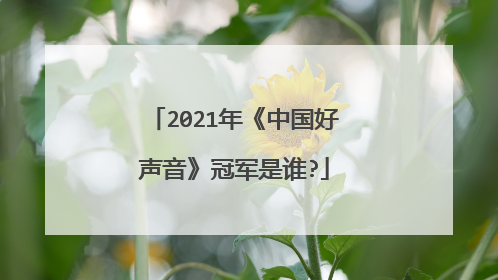 2021年《中国好声音》冠军是谁?