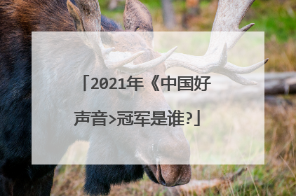 2021年《中国好声音>冠军是谁?