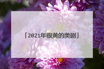 2021年很黄的美剧