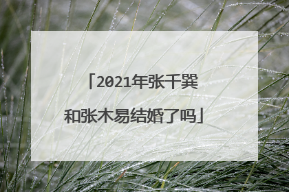 2021年张千巽和张木易结婚了吗