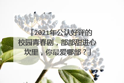 2021年公认好评的校园青春剧，部部甜进心坎里，你最爱哪部？