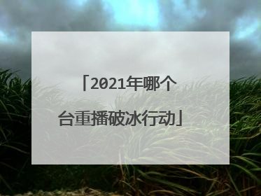 2021年哪个台重播破冰行动