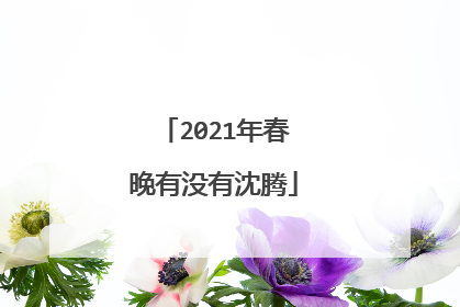 2021年春晚有没有沈腾