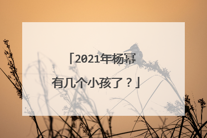 2021年杨幂有几个小孩了?