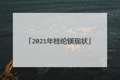 2021年桂纶镁现状