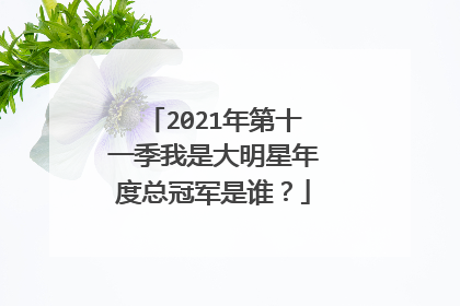 2021年第十一季我是大明星年度总冠军是谁?