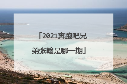 2021奔跑吧兄弟张翰是哪一期