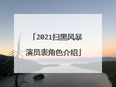 2021扫黑风暴演员表角色介绍