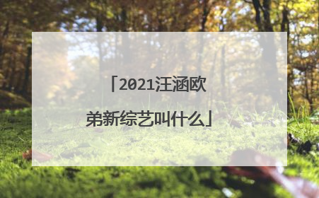 2021汪涵欧弟新综艺叫什么