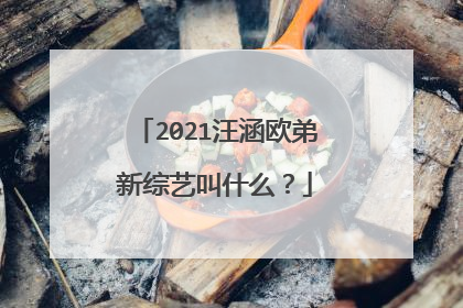 2021汪涵欧弟新综艺叫什么？
