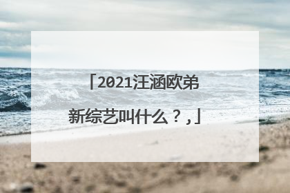 2021汪涵欧弟新综艺叫什么?,