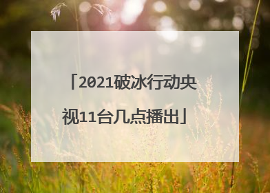 2021破冰行动央视11台几点播出
