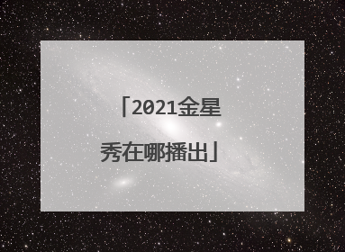 2021金星秀在哪播出