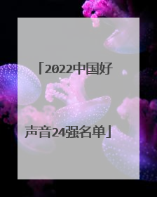 2022中国好声音24强名单