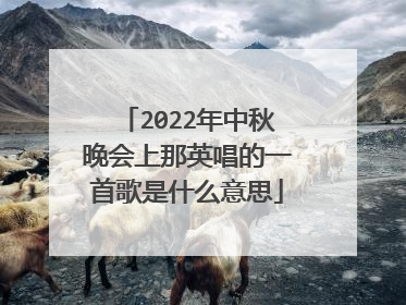 2022年中秋晚会上那英唱的一首歌是什么意思