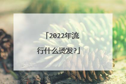 2022年流行什么烫发?