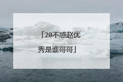 20不惑赵优秀是谁哥哥