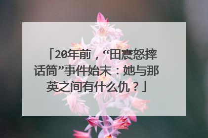 20年前,“田震怒摔话筒”事件始末:她与那英之间有什么仇?