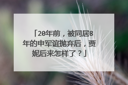 20年前,被同居8年的申军谊抛弃后,贾妮后来怎样了?