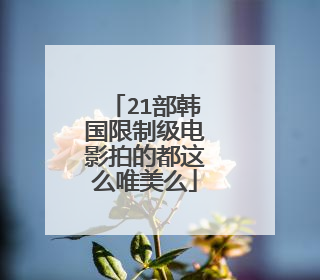 21部韩国限制级电影拍的都这么唯美么