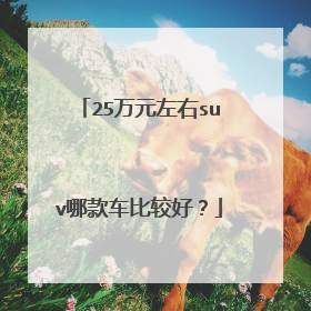 25万元左右suv哪款车比较好？