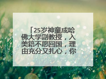 25岁神童成哈佛大学副教授，入美籍不愿回国，理由充分又扎心，你怎么看？