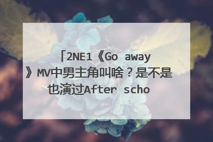2NE1《Go away》MV中男主角叫啥？是不是也演过After school《因为你》的MV？