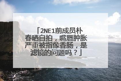 2NE1前成员朴春晒自拍，嘴唇肿胀严重被指像香肠，是滤镜的问题吗？