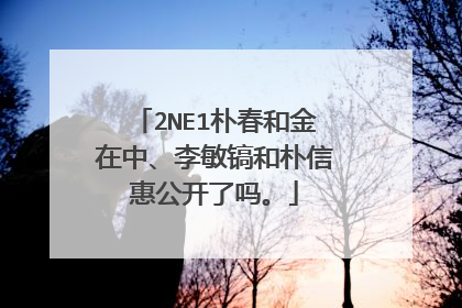 2NE1朴春和金在中、李敏镐和朴信惠公开了吗。