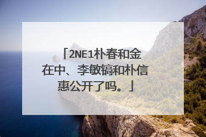 2NE1朴春和金在中、李敏镐和朴信惠公开了吗。