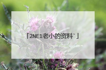 2NE1老小的资料`