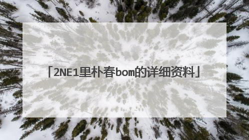 2NE1里朴春bom的详细资料