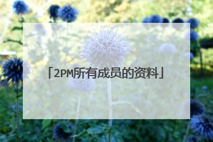 2PM所有成员的资料