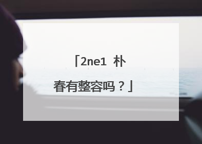 2ne1 朴春有整容吗?